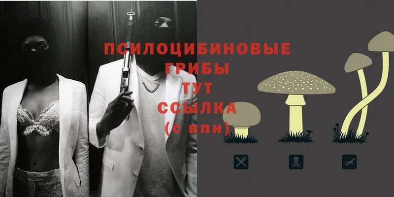 сайты даркнета официальный сайт  Бахчисарай  Псилоцибиновые грибы Cubensis  где купить наркоту 